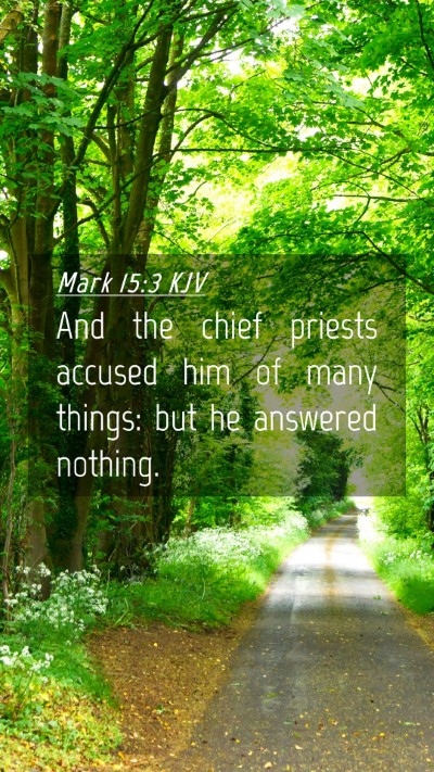 Picture 04 - Mark 15:3 KJV Mobile Phone Wallpaper - And the chief priests accused him of many things: - Mobile Bible Verse Wallpaper
