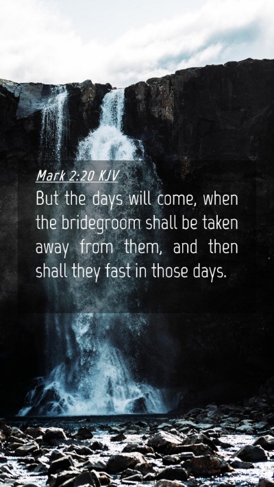 Picture 04 - Mark 2:20 KJV Mobile Phone Wallpaper - But the days will come, when the bridegroom shall - Mobile Bible Verse Wallpaper