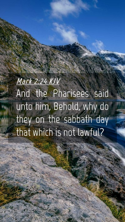 Picture 04 - Mark 2:24 KJV Mobile Phone Wallpaper - And the Pharisees said unto him, Behold, why do - Mobile Bible Verse Wallpaper