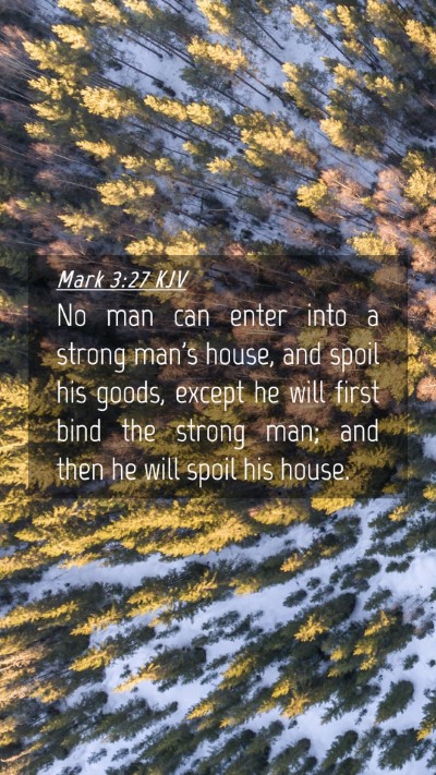 Picture 04 - Mark 3:27 KJV Mobile Phone Wallpaper - No man can enter into a strong man's house, and - Mobile Bible Verse Wallpaper