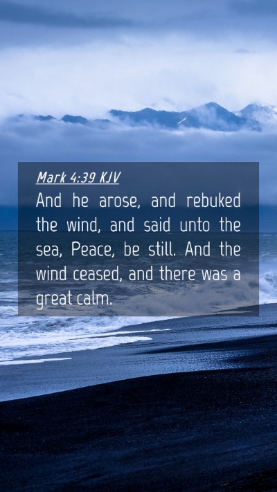 Picture 04 - Mark 4:39 KJV Mobile Phone Wallpaper - And he arose, and rebuked the wind, and said unto - Mobile Bible Verse Wallpaper