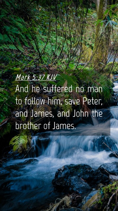 Picture 04 - Mark 5:37 KJV Mobile Phone Wallpaper - And he suffered no man to follow him, save Peter, - Mobile Bible Verse Wallpaper
