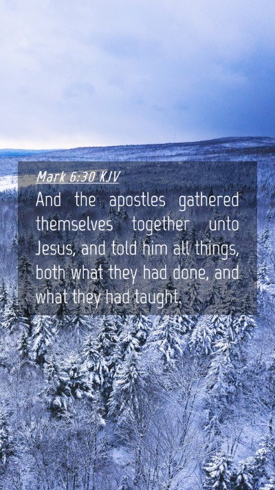 Picture 04 - Mark 6:30 KJV Mobile Phone Wallpaper - And the apostles gathered themselves together - Mobile Bible Verse Wallpaper
