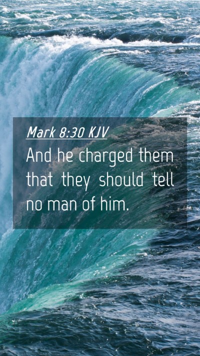 Picture 04 - Mark 8:30 KJV Mobile Phone Wallpaper - And he charged them that they should tell no man - Mobile Bible Verse Wallpaper