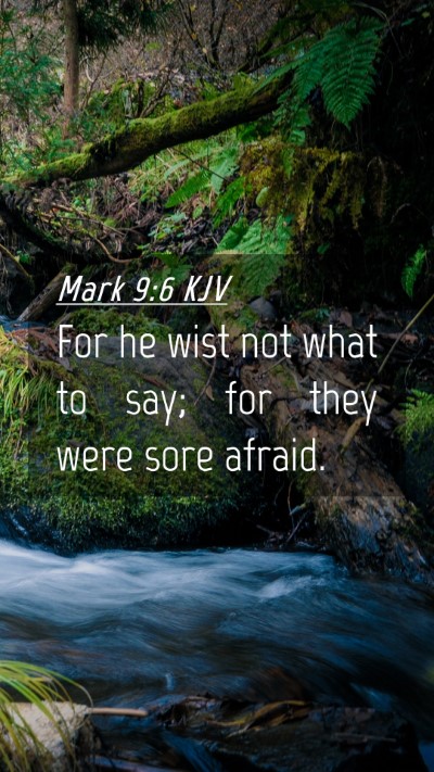 Picture 04 - Mark 9:6 KJV Mobile Phone Wallpaper - For he wist not what to say; for they were sore - Mobile Bible Verse Wallpaper