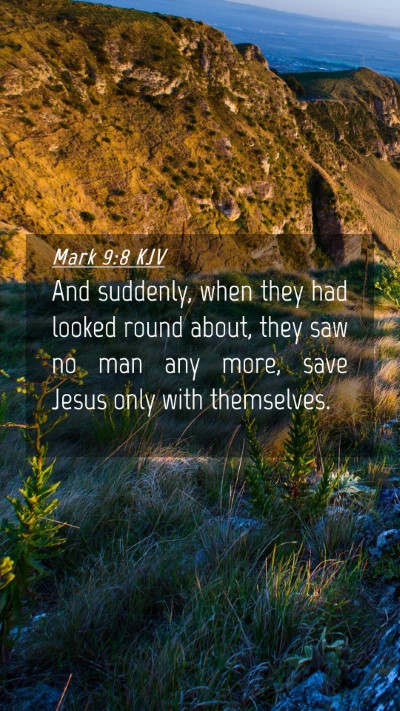 Picture 04 - Mark 9:8 KJV Mobile Phone Wallpaper - And suddenly, when they had looked round about, - Mobile Bible Verse Wallpaper
