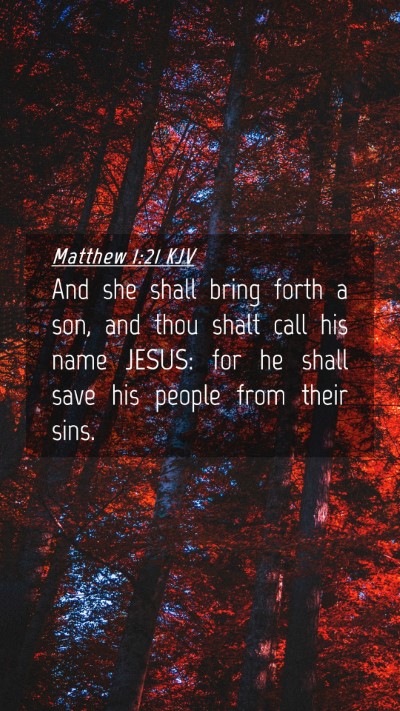 Picture 04 - Matthew 1:21 KJV Mobile Phone Wallpaper - And she shall bring forth a son, and thou shalt - Mobile Bible Verse Wallpaper