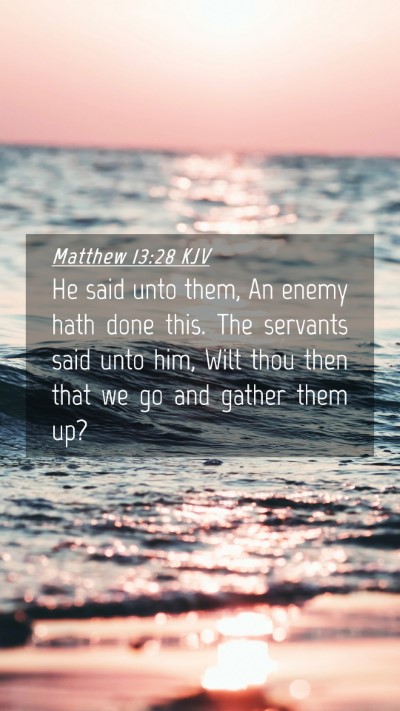 Picture 04 - Matthew 13:28 KJV Mobile Phone Wallpaper - He said unto them, An enemy hath done this. The - Mobile Bible Verse Wallpaper