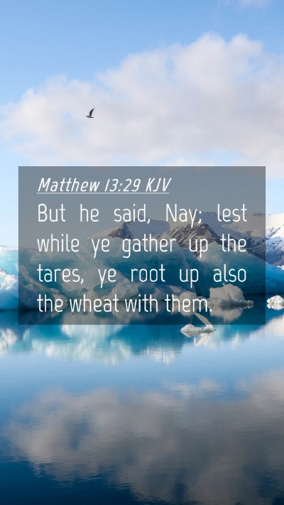 Picture 04 - Matthew 13:29 KJV Mobile Phone Wallpaper - But he said, Nay; lest while ye gather up the - Mobile Bible Verse Wallpaper