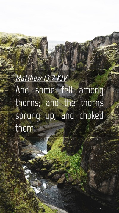 Picture 04 - Matthew 13:7 KJV Mobile Phone Wallpaper - And some fell among thorns; and the thorns sprung - Mobile Bible Verse Wallpaper