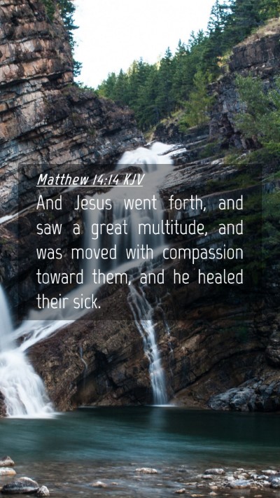 Picture 04 - Matthew 14:14 KJV Mobile Phone Wallpaper - And Jesus went forth, and saw a great multitude, - Mobile Bible Verse Wallpaper