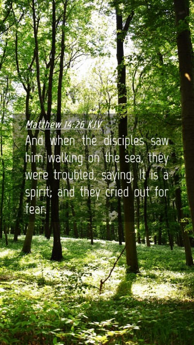Picture 04 - Matthew 14:26 KJV Mobile Phone Wallpaper - And when the disciples saw him walking on the - Mobile Bible Verse Wallpaper