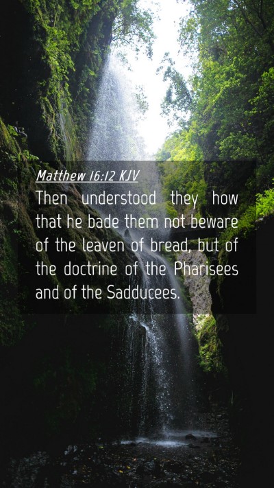 Picture 04 - Matthew 16:12 KJV Mobile Phone Wallpaper - Then understood they how that he bade them not - Mobile Bible Verse Wallpaper
