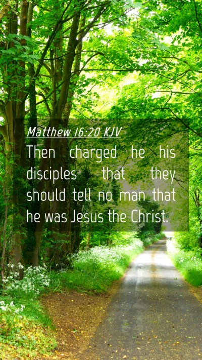 Picture 04 - Matthew 16:20 KJV Mobile Phone Wallpaper - Then charged he his disciples that they should - Mobile Bible Verse Wallpaper