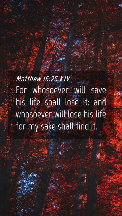 Picture 04 - Matthew 16:25 KJV Mobile Phone Wallpaper - For whosoever will save his life shall lose it: - Mobile Bible Verse Wallpaper