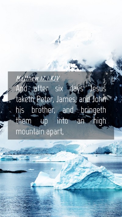 Picture 04 - Matthew 17:1 KJV Mobile Phone Wallpaper - And after six days Jesus taketh Peter, James, and - Mobile Bible Verse Wallpaper