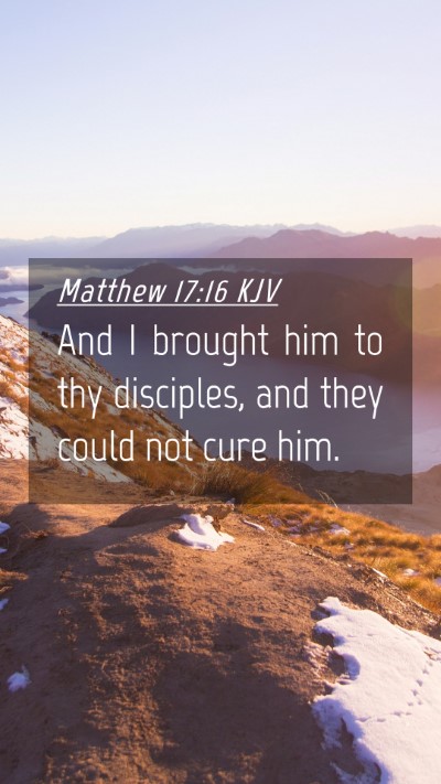 Picture 04 - Matthew 17:16 KJV Mobile Phone Wallpaper - And I brought him to thy disciples, and they - Mobile Bible Verse Wallpaper