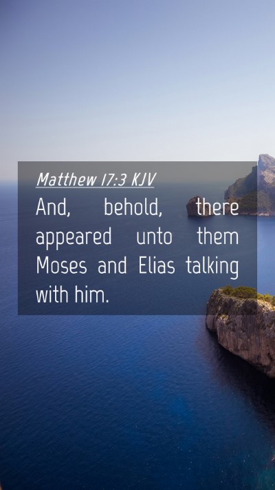 Picture 04 - Matthew 17:3 KJV Mobile Phone Wallpaper - And, behold, there appeared unto them Moses and - Mobile Bible Verse Wallpaper