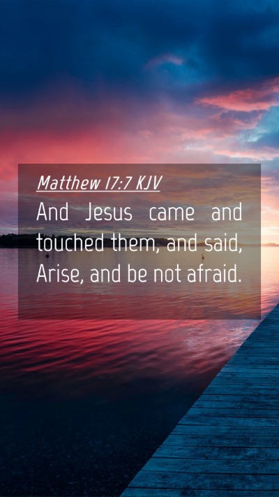 Picture 04 - Matthew 17:7 KJV Mobile Phone Wallpaper - And Jesus came and touched them, and said, Arise, - Mobile Bible Verse Wallpaper