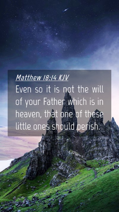 Picture 04 - Matthew 18:14 KJV Mobile Phone Wallpaper - Even so it is not the will of your Father which - Mobile Bible Verse Wallpaper