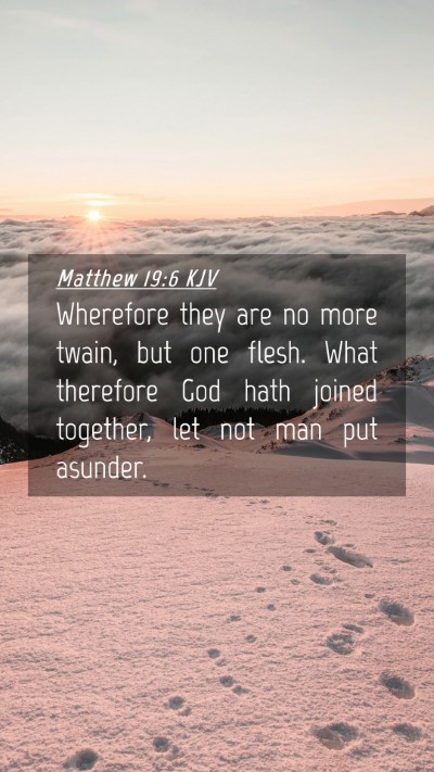 Picture 04 - Matthew 19:6 KJV Mobile Phone Wallpaper - Wherefore they are no more twain, but one flesh. - Mobile Bible Verse Wallpaper