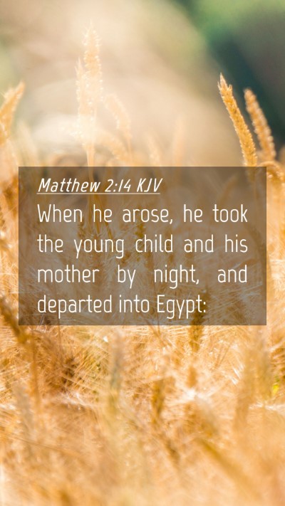 Picture 04 - Matthew 2:14 KJV Mobile Phone Wallpaper - When he arose, he took the young child and his - Mobile Bible Verse Wallpaper