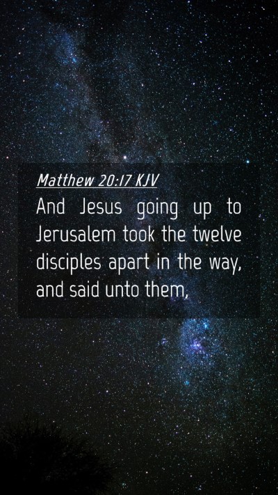 Picture 04 - Matthew 20:17 KJV Mobile Phone Wallpaper - And Jesus going up to Jerusalem took the twelve - Mobile Bible Verse Wallpaper