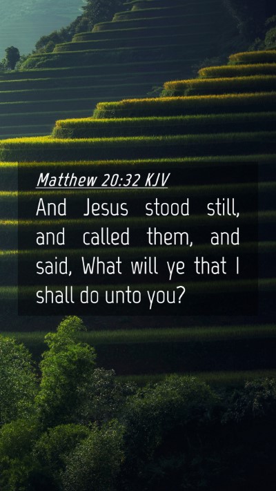 Picture 04 - Matthew 20:32 KJV Mobile Phone Wallpaper - And Jesus stood still, and called them, and said, - Mobile Bible Verse Wallpaper