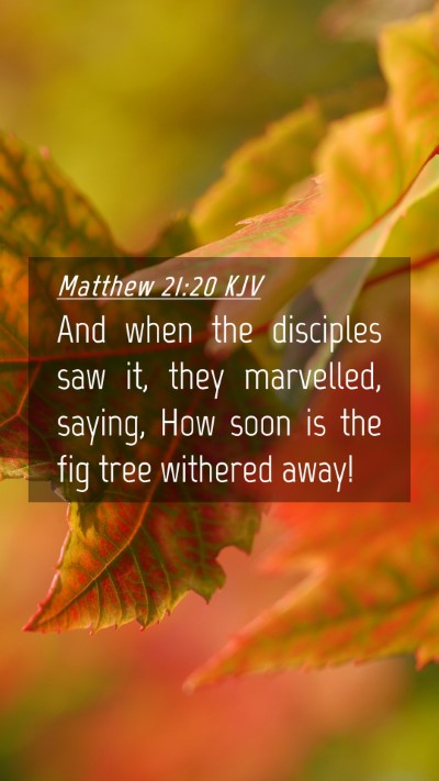 Picture 04 - Matthew 21:20 KJV Mobile Phone Wallpaper - And when the disciples saw it, they marvelled, - Mobile Bible Verse Wallpaper