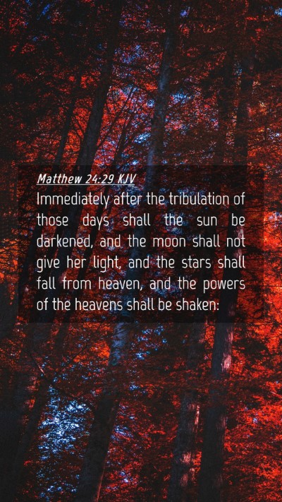 Picture 04 - Matthew 24:29 KJV Mobile Phone Wallpaper - Immediately after the tribulation of those days - Mobile Bible Verse Wallpaper