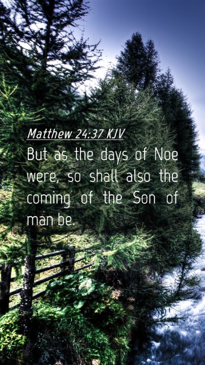 Picture 04 - Matthew 24:37 KJV Mobile Phone Wallpaper - But as the days of Noe were, so shall also the - Mobile Bible Verse Wallpaper