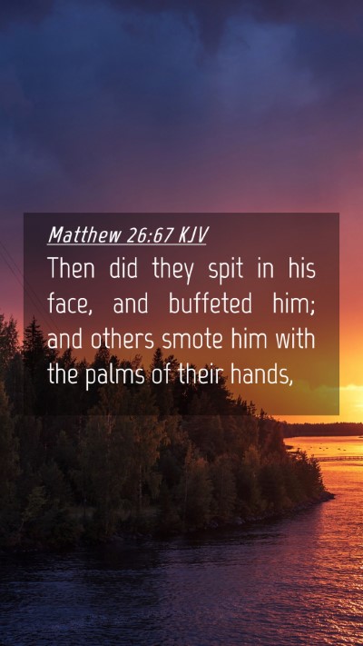 Picture 04 - Matthew 26:67 KJV Mobile Phone Wallpaper - Then did they spit in his face, and buffeted him; - Mobile Bible Verse Wallpaper