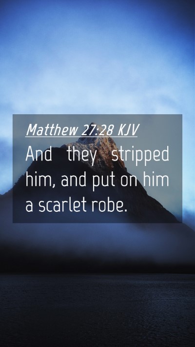 Picture 04 - Matthew 27:28 KJV Mobile Phone Wallpaper - And they stripped him, and put on him a scarlet - Mobile Bible Verse Wallpaper