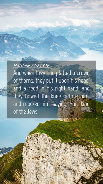 Picture 04 - Matthew 27:29 KJV Mobile Phone Wallpaper - And when they had platted a crown of thorns, they - Mobile Bible Verse Wallpaper