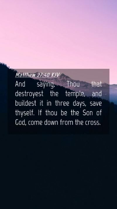 Picture 04 - Matthew 27:40 KJV Mobile Phone Wallpaper - And saying, Thou that destroyest the temple, and - Mobile Bible Verse Wallpaper