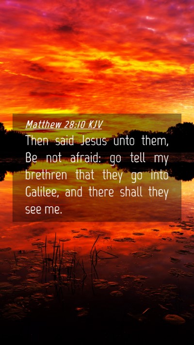Picture 04 - Matthew 28:10 KJV Mobile Phone Wallpaper - Then said Jesus unto them, Be not afraid: go tell - Mobile Bible Verse Wallpaper