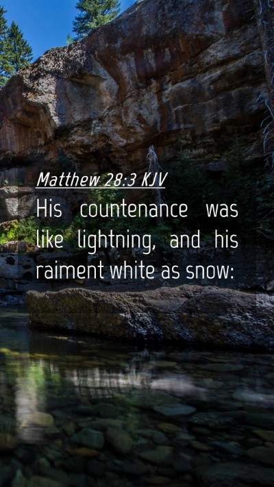 Picture 04 - Matthew 28:3 KJV Mobile Phone Wallpaper - His countenance was like lightning, and his - Mobile Bible Verse Wallpaper