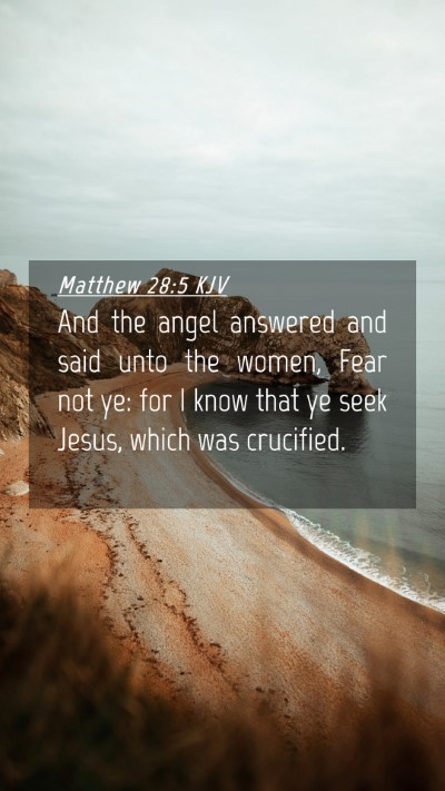 Picture 04 - Matthew 28:5 KJV Mobile Phone Wallpaper - And the angel answered and said unto the women, - Mobile Bible Verse Wallpaper