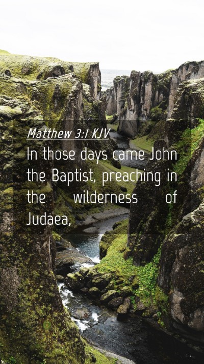 Picture 04 - Matthew 3:1 KJV Mobile Phone Wallpaper - In those days came John the Baptist, preaching in - Mobile Bible Verse Wallpaper
