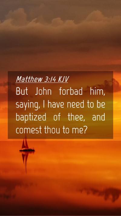 Picture 04 - Matthew 3:14 KJV Mobile Phone Wallpaper - But John forbad him, saying, I have need to be - Mobile Bible Verse Wallpaper