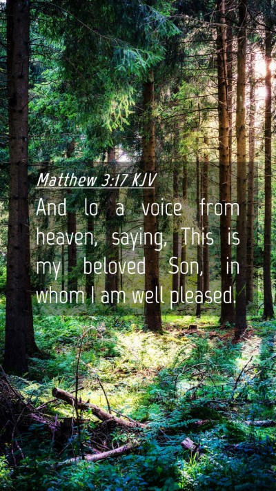 Picture 04 - Matthew 3:17 KJV Mobile Phone Wallpaper - And lo a voice from heaven, saying, This is my - Mobile Bible Verse Wallpaper