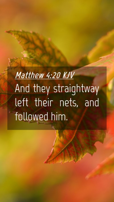 Picture 04 - Matthew 4:20 KJV Mobile Phone Wallpaper - And they straightway left their nets, and - Mobile Bible Verse Wallpaper