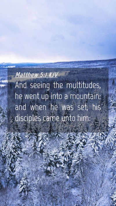 Picture 04 - Matthew 5:1 KJV Mobile Phone Wallpaper - And seeing the multitudes, he went up into a - Mobile Bible Verse Wallpaper