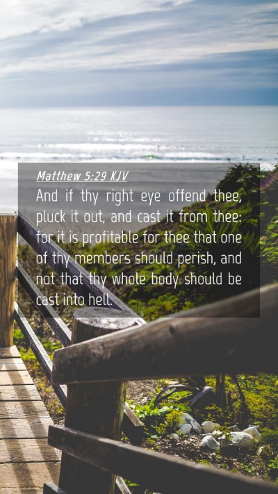 Picture 04 - Matthew 5:29 KJV Mobile Phone Wallpaper - And if thy right eye offend thee, pluck it out, - Mobile Bible Verse Wallpaper