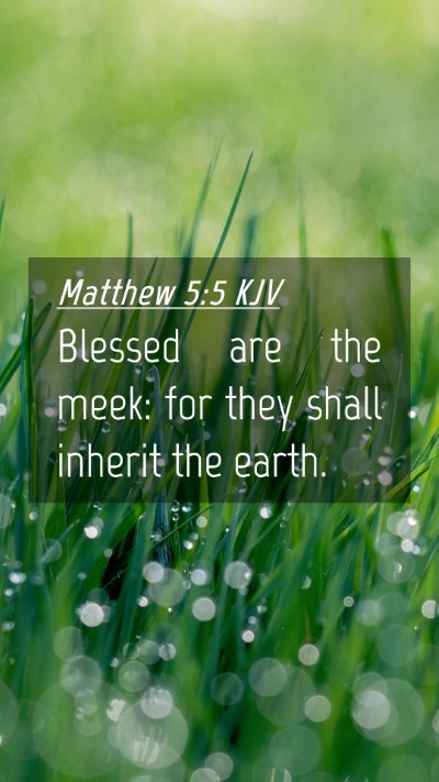 Picture 04 - Matthew 5:5 KJV Mobile Phone Wallpaper - Blessed are the meek: for they shall inherit the - Mobile Bible Verse Wallpaper