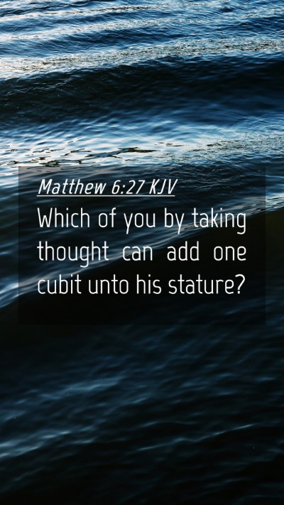 Picture 04 - Matthew 6:27 KJV Mobile Phone Wallpaper - Which of you by taking thought can add one cubit - Mobile Bible Verse Wallpaper