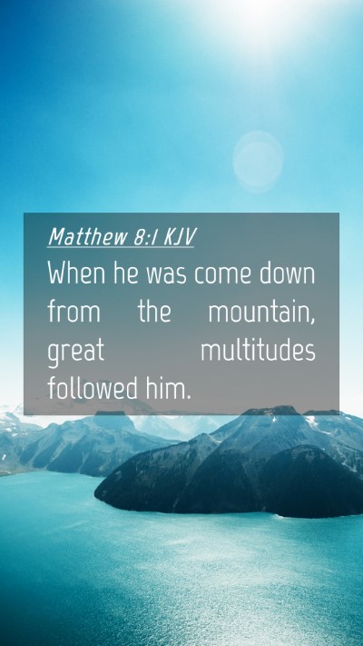 Picture 04 - Matthew 8:1 KJV Mobile Phone Wallpaper - When he was come down from the mountain, great - Mobile Bible Verse Wallpaper