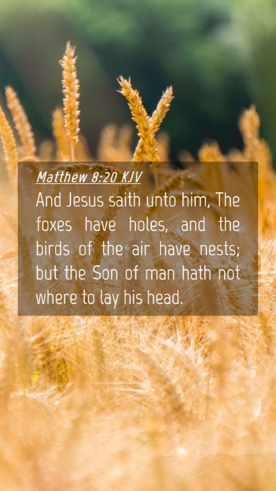 Picture 04 - Matthew 8:20 KJV Mobile Phone Wallpaper - And Jesus saith unto him, The foxes have holes, - Mobile Bible Verse Wallpaper