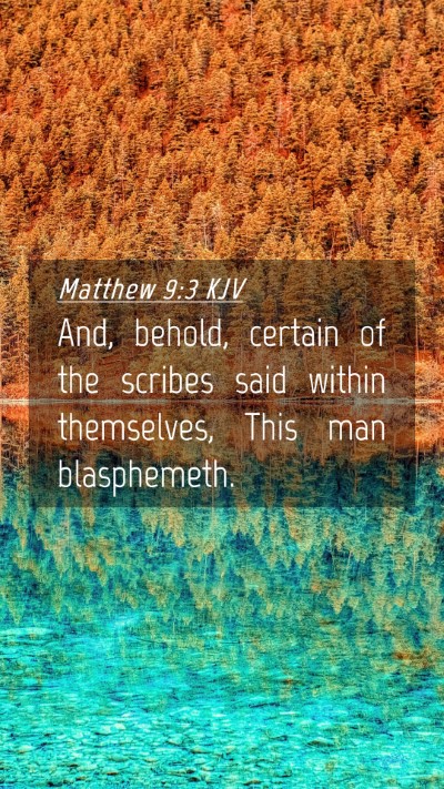 Picture 04 - Matthew 9:3 KJV Mobile Phone Wallpaper - And, behold, certain of the scribes said within - Mobile Bible Verse Wallpaper