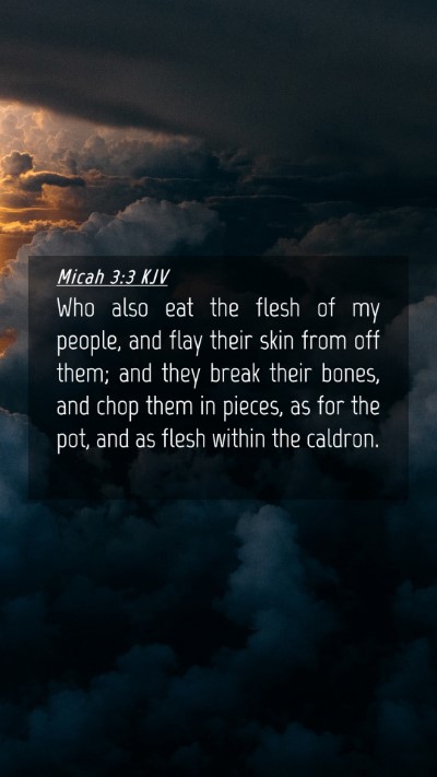 Picture 04 - Micah 3:3 KJV Mobile Phone Wallpaper - Who also eat the flesh of my people, and flay - Mobile Bible Verse Wallpaper